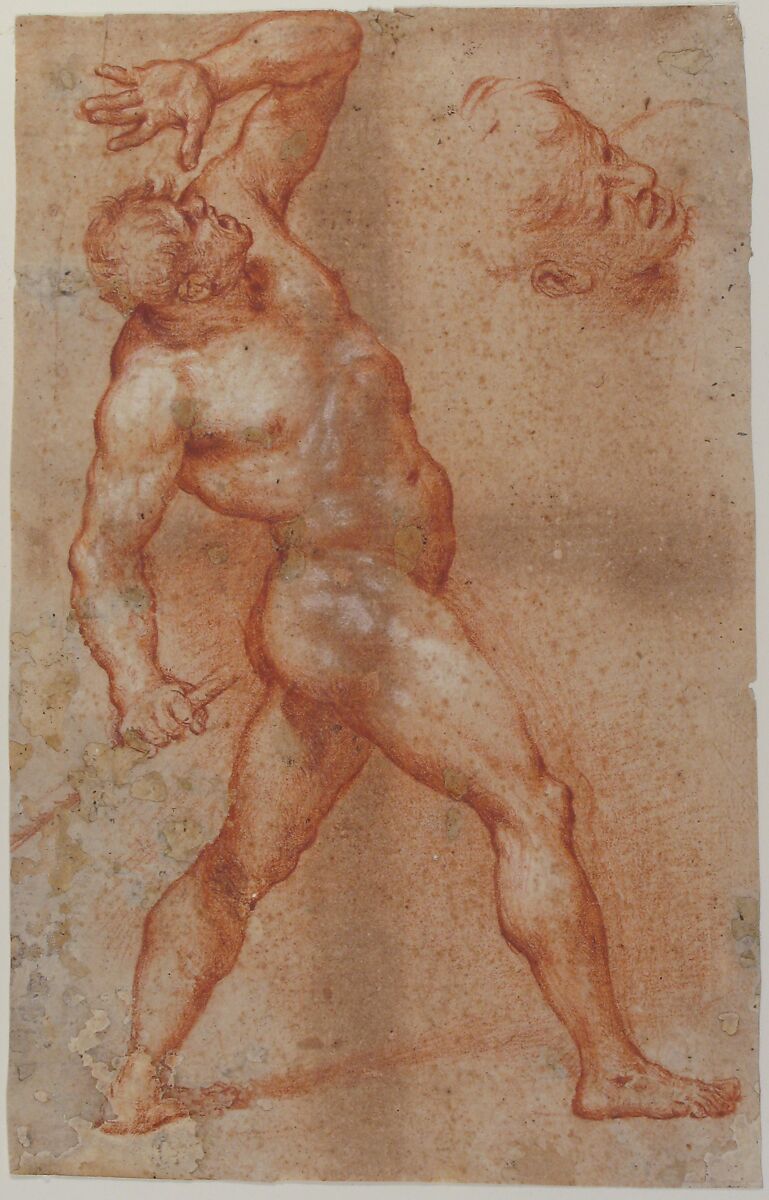 Male Nude with Left Arm Upraised, and a Further Study of His Head, Aniello Falcone (Italian, Naples 1607–1656 Naples), Red chalk