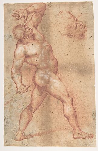 Male Nude with Left Arm Upraised, and a Further Study of His Head