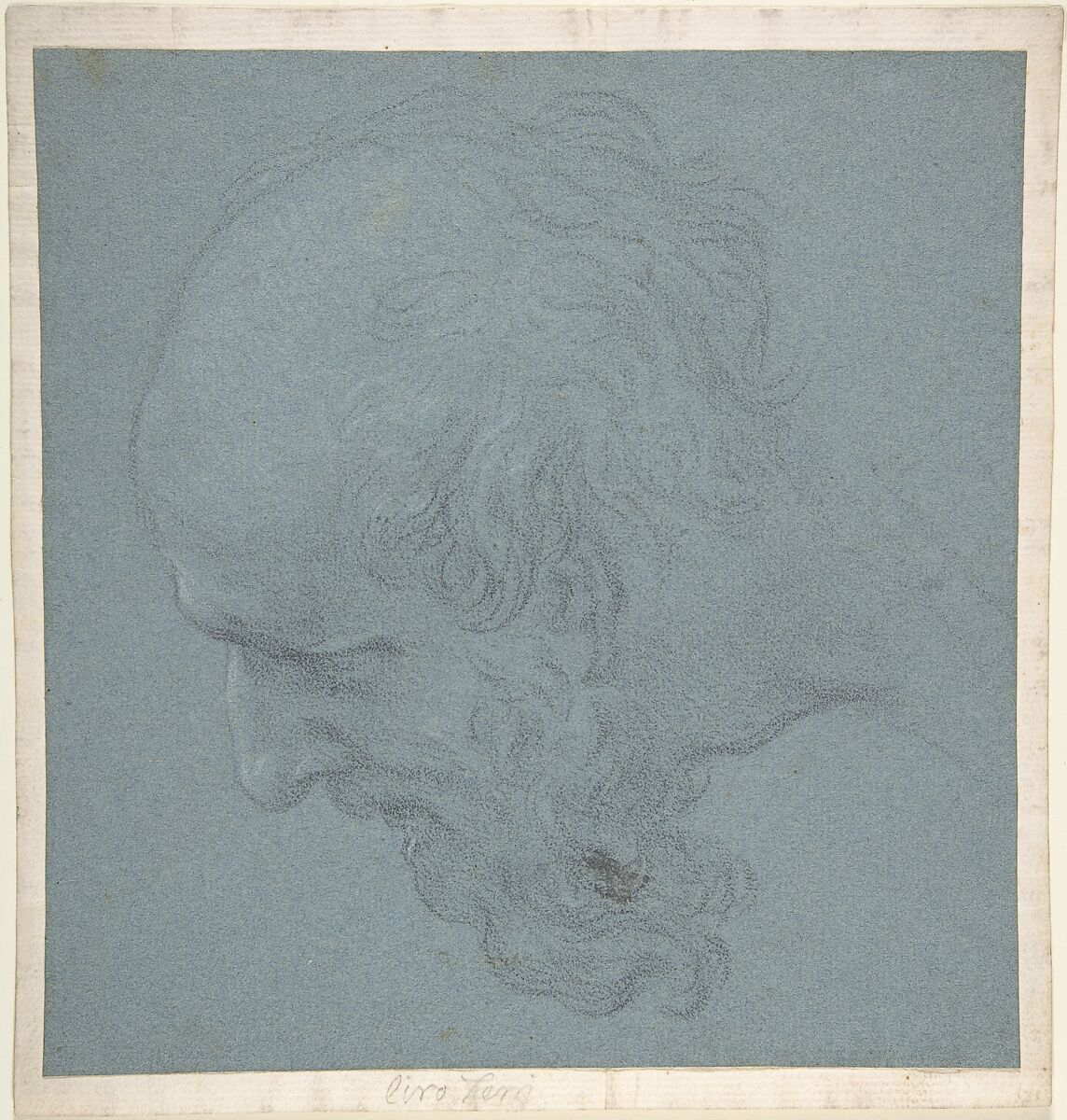Head of a Bearded Man Looking to Upper Left, Ciro Ferri (Italian, Rome 1634?–1689 Rome), Black chalk, highlighted with white, on blue paper 