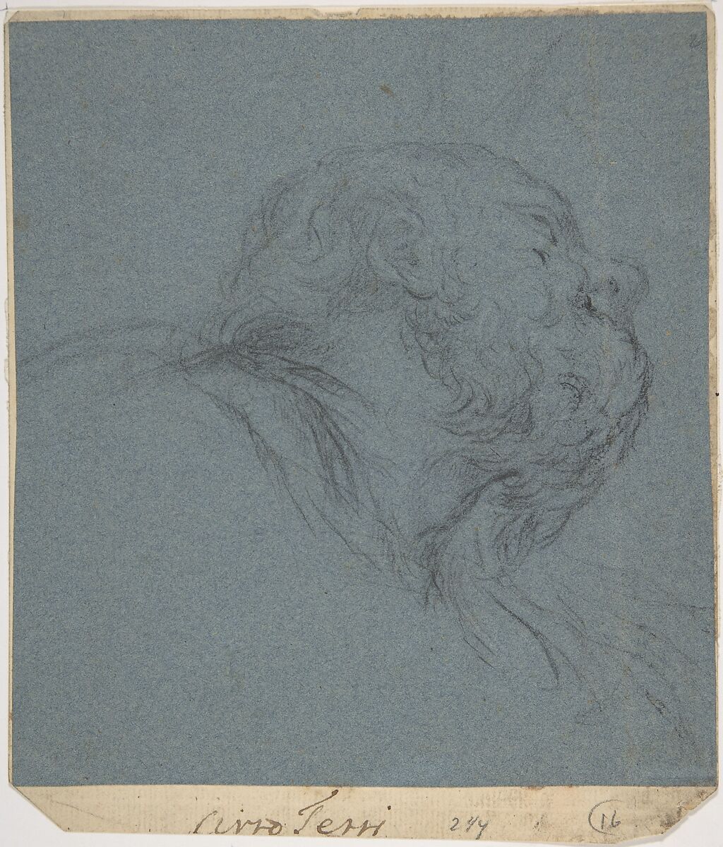 Head of a Bearded Man Looking to Upper Right, Ciro Ferri (Italian, Rome 1634?–1689 Rome), Black chalk on blue paper 