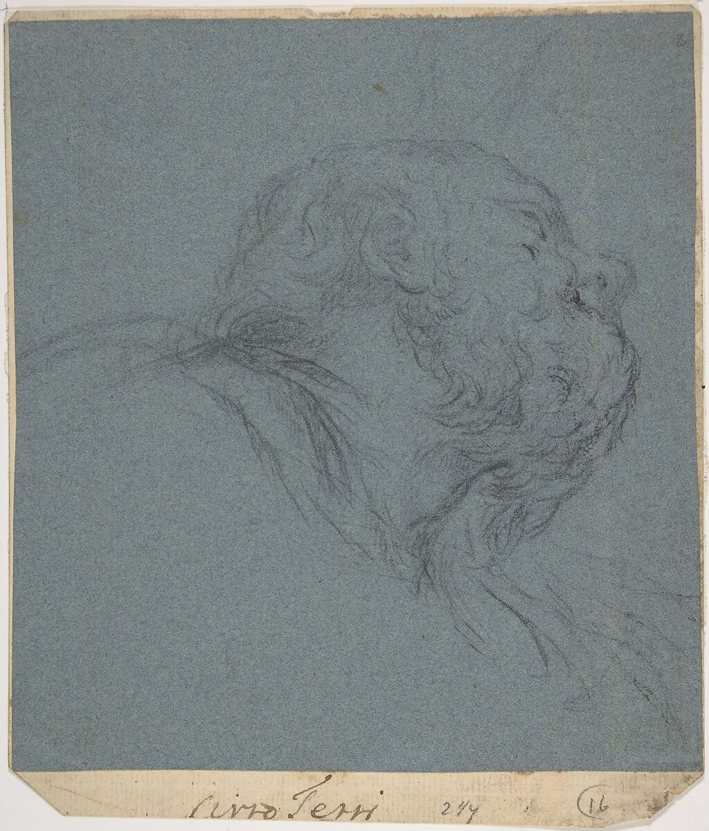 Ciro Ferri Head of a Bearded Man Looking to Upper Right The