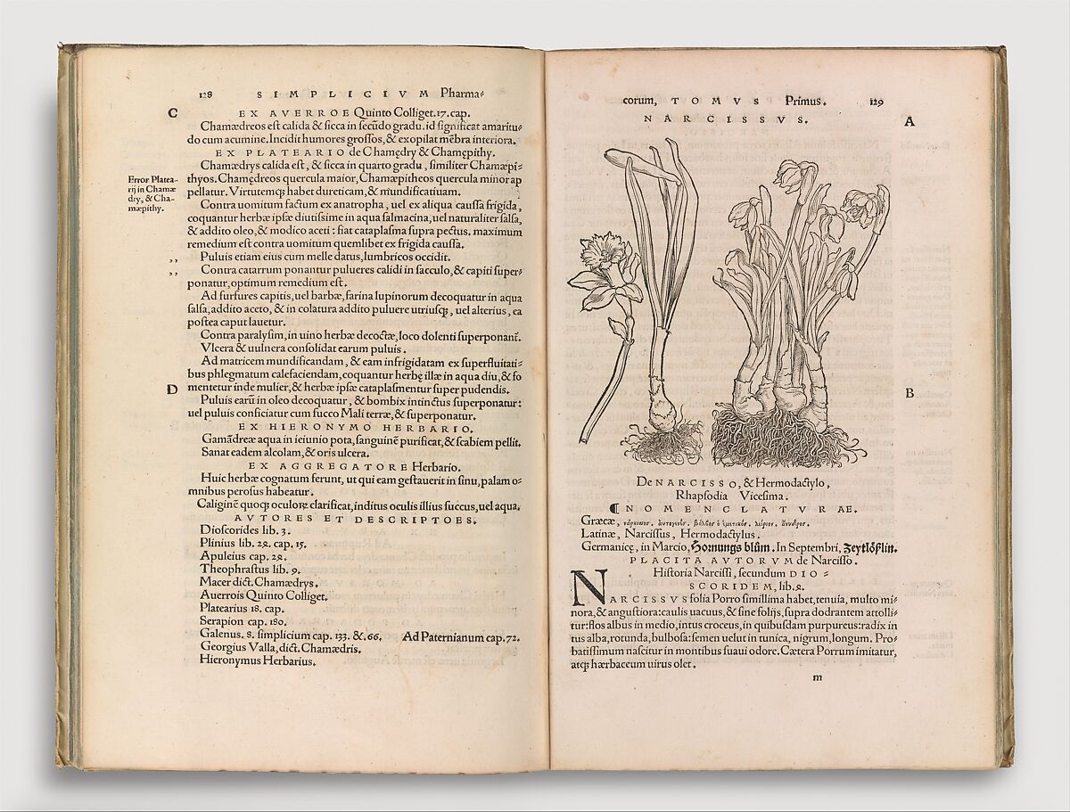 Herbarum vivae eicones, Otto Brunfels (German, ca. Mainz 1488–1534 Bern), Woodcut 
