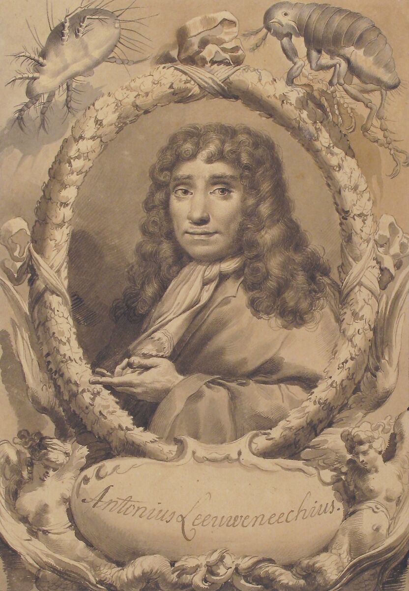 The Dutch Microscopist Anton van Leeuwenhoek, Gaetano Gandolfi (Italian, San Matteo della Decima 1734–1802 Bologna), Pen with black and brown ink, brush with brown and gray wash; framing lines in black ink 