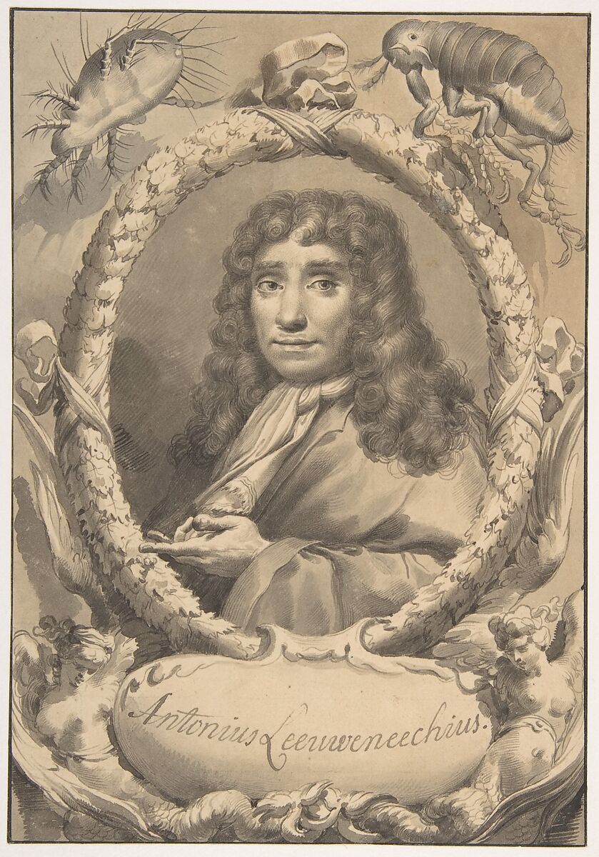 The Dutch Microscopist Anton van Leeuwenhoek, Gaetano Gandolfi (Italian, San Matteo della Decima 1734–1802 Bologna), Pen and black and brown ink, brush and brown and gray wash; framing lines in pen and black ink