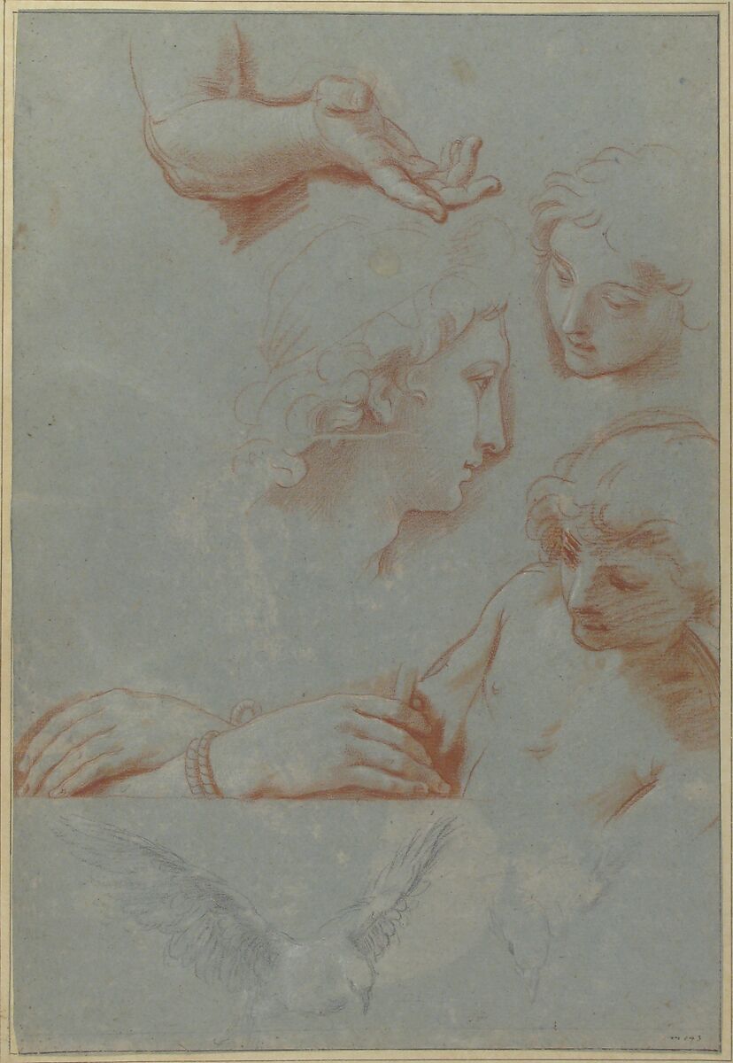 Sheet of Studies: Heads, Hands, and Doves, Luigi Garzi (Italian, Pistoia 1638–1721 Rome), Red chalk (the heads and hands) and black chalk (the doves), on blue paper