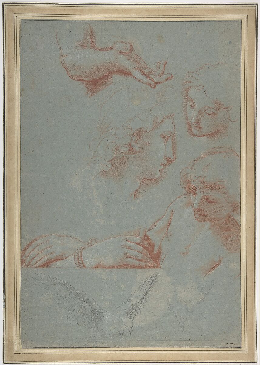 Sheet of Studies: Heads, Hands, and Doves, Luigi Garzi (Italian, Pistoia 1638–1721 Rome), Red chalk (the heads and hands) and black chalk (the doves), on blue paper 