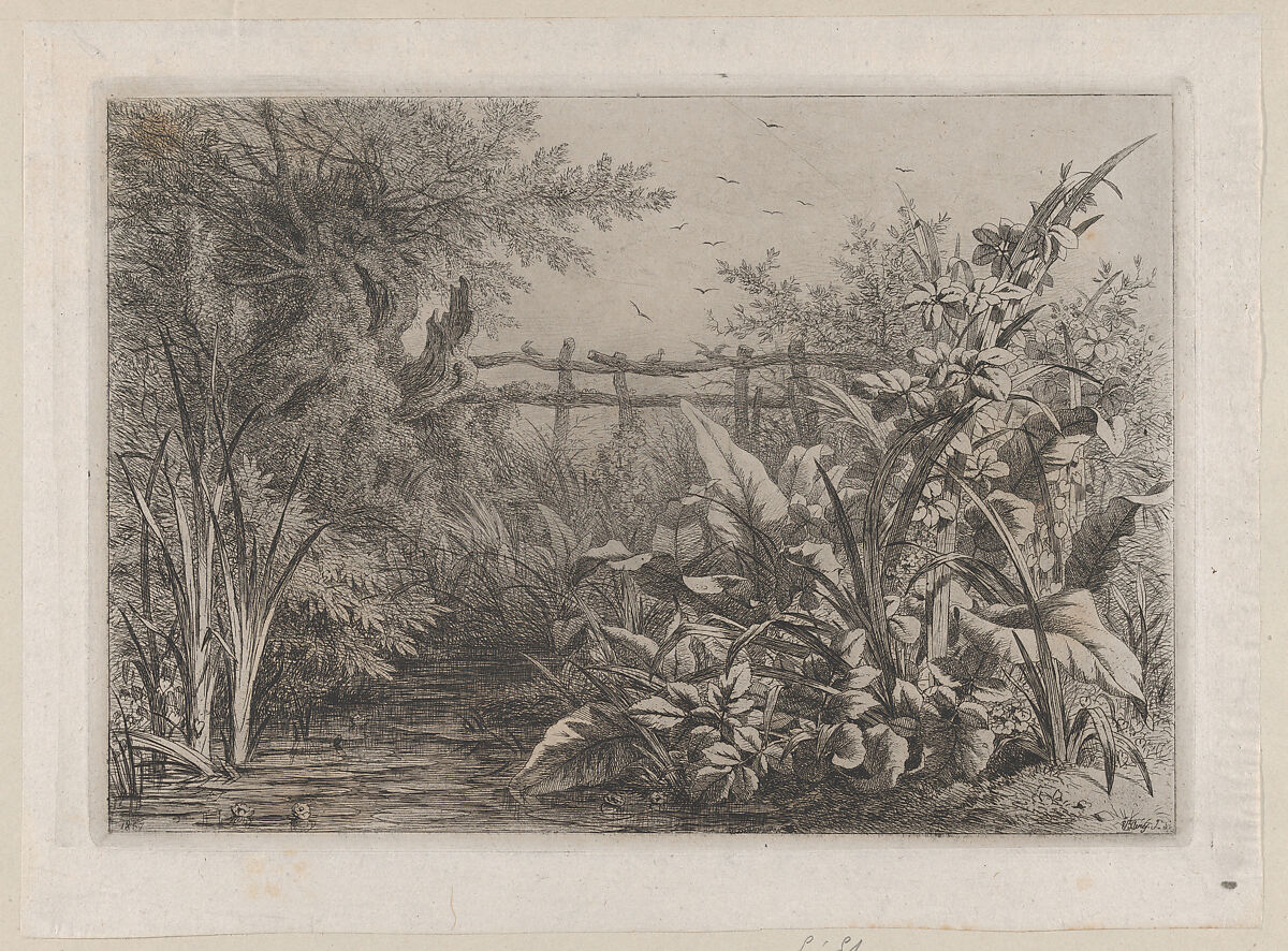 The Pond, Eugène Stanislas Alexandre Bléry (French, Fontainebleau 1805–1887 Paris), Etching 