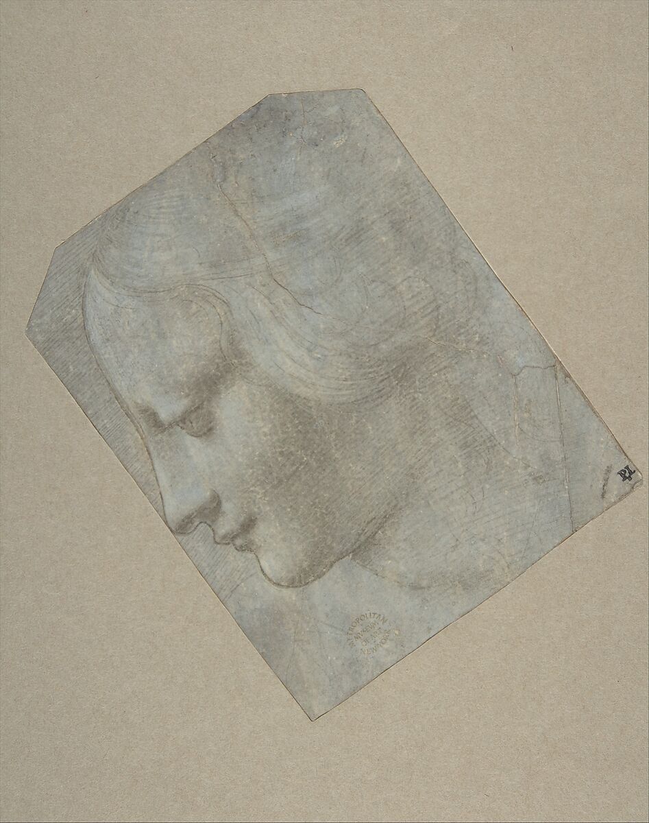 The Head of a Woman in Profile Facing Left, Giovanni Antonio Boltraffio  Italian, Silverpoint and leadpoint, highlighted with white gouache, on pale blue-gray (indigo) prepared paper. Media tested by the Department of Scientific Research, The Metropolitan Museum of Art, with x-ray fluorescence spectroscopy (XRF) and fiber optics reflectance spectroscopy (FORS); October 1, 2019.