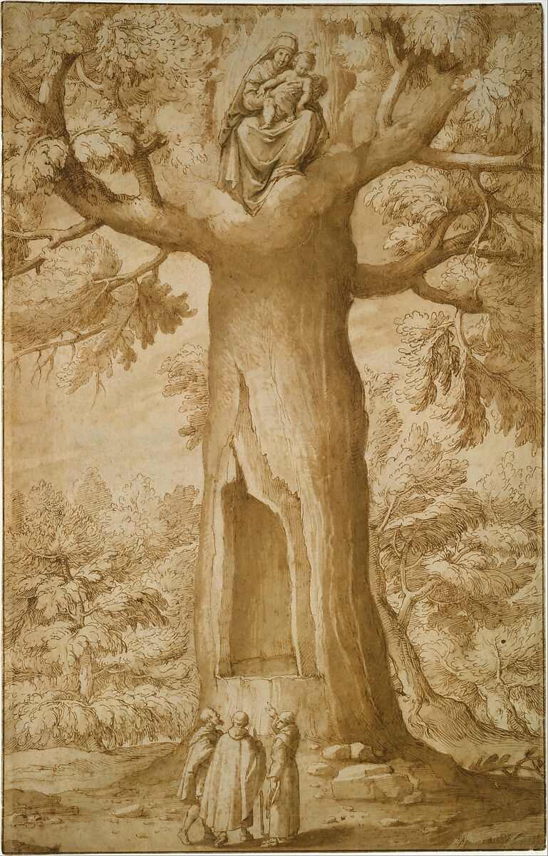 The Beech Tree of the Madonna at La Verna, Jacopo Ligozzi (Italian, Verona 1547–1627 Florence), Pen and brown ink, brush and brown wash and with traces of gray wash, over black chalk