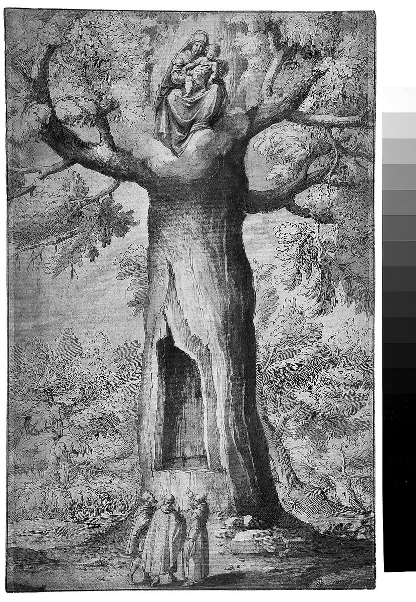 The Beech Tree of the Madonna at La Verna, Jacopo Ligozzi (Italian, Verona 1547–1627 Florence), Pen and brown ink, brush and brown wash and with traces of gray wash, over black chalk
