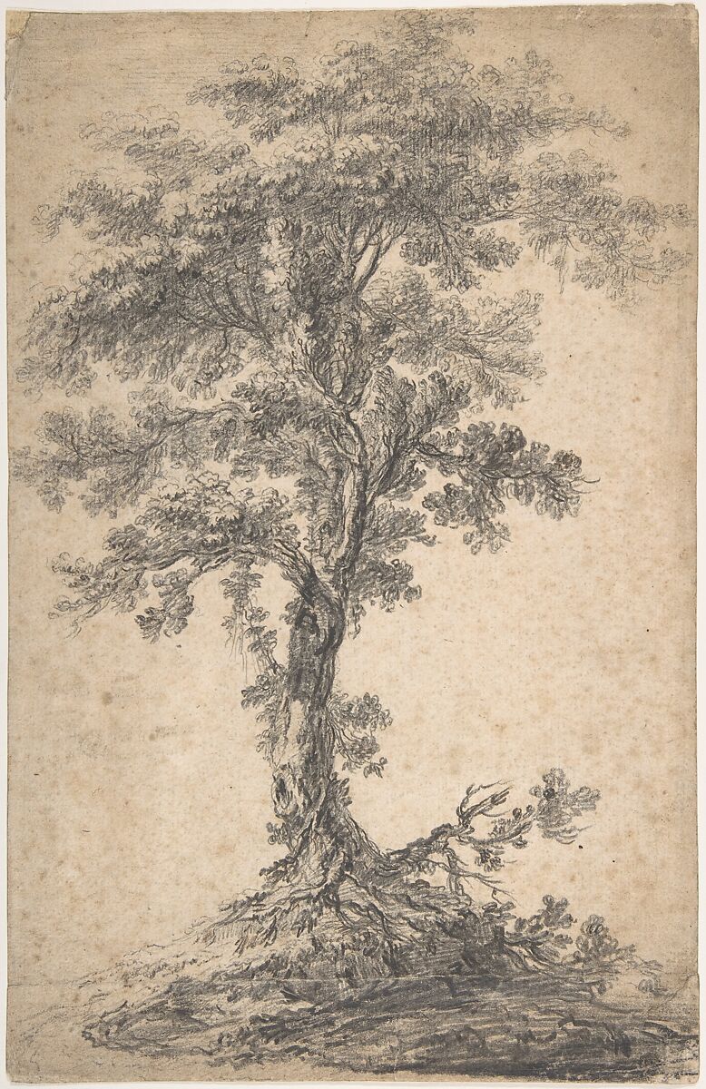 Study of a Tree, Attributed to Jean Pillement (French, Lyons 1728–1808 Lyons), Black chalk on beige paper 