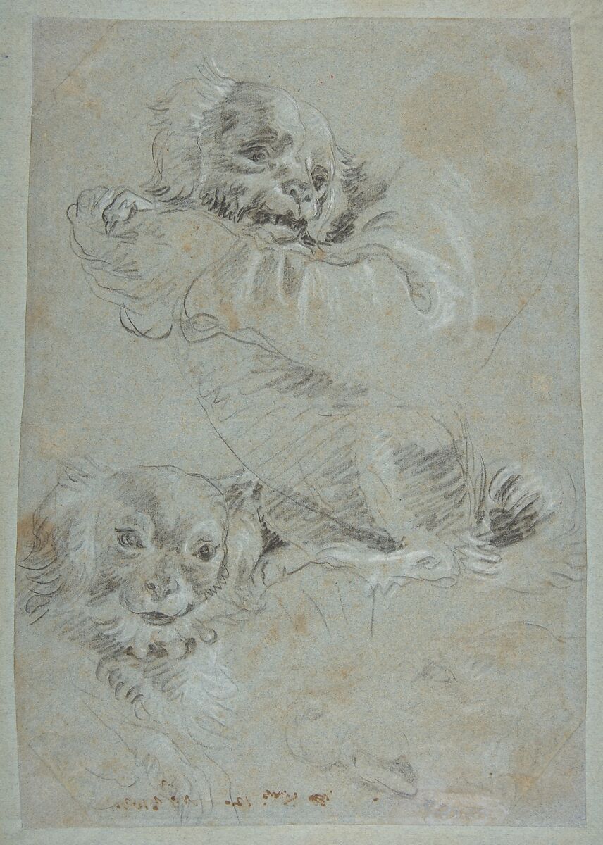 Three Dogs, Giovanni Domenico Tiepolo  Italian, Black chalk, highlighted with white chalk, on blue paper