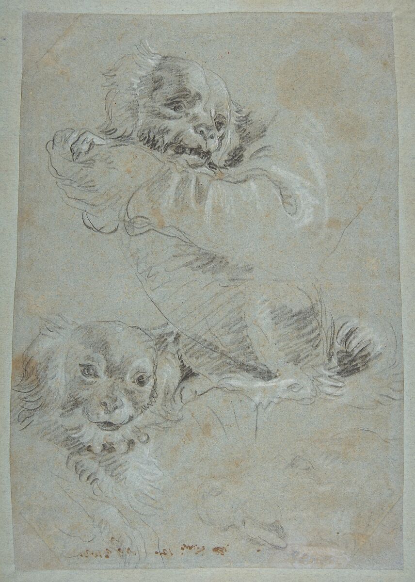 Three Dogs, Giovanni Domenico Tiepolo (Italian, Venice 1727–1804 Venice), Black chalk, highlighted with white chalk, on blue paper 