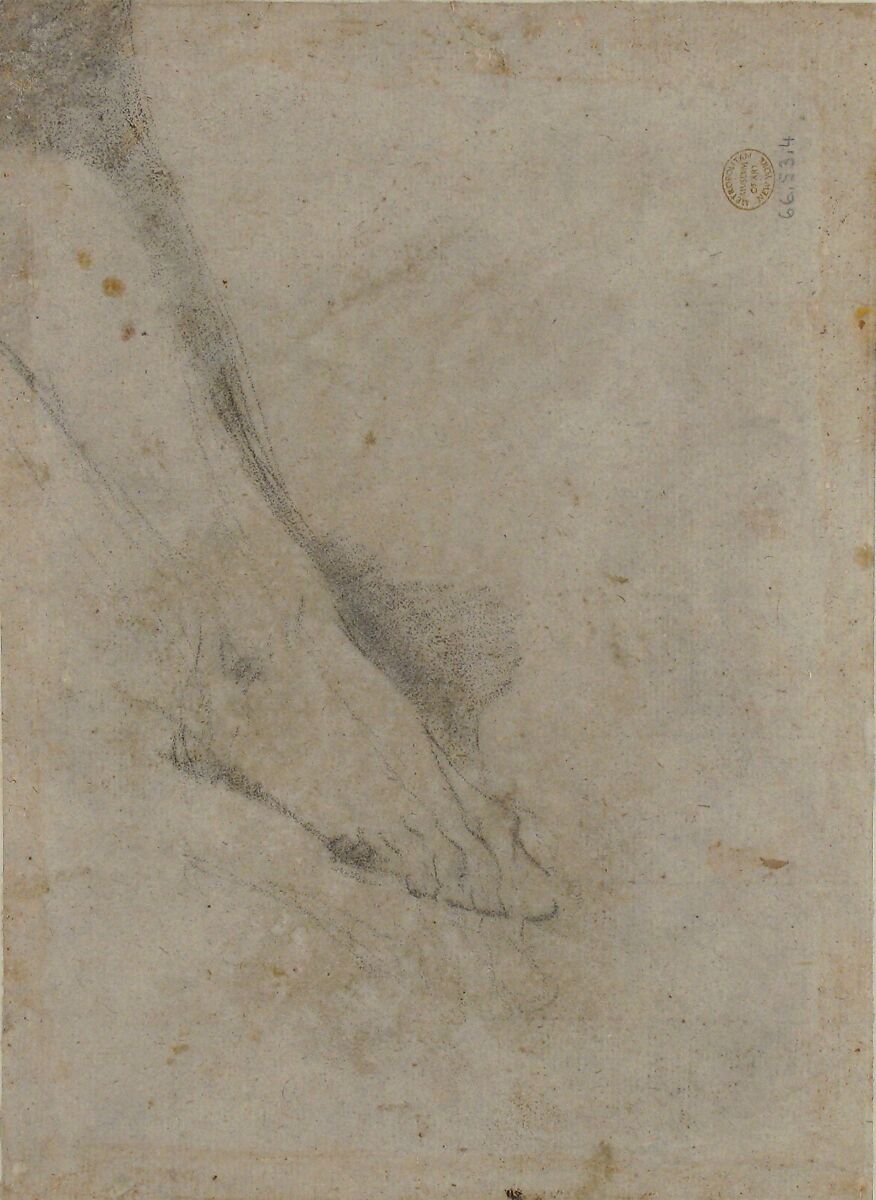David With the Head of Goliath (recto); Study of Lower Leg and Right Foot (verso), Giovanni Battista Piazzetta (Italian, Venice 1682–1754 Venice), Charcoal, highlighted with white, on gray-blue paper faded to gray-brown (recto); black chalk (verso)