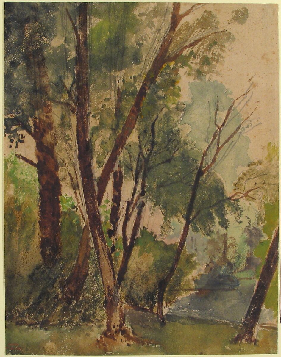 Trees Beside a Pond, Louis-Antoine-Léon Riesener (French, Paris 1808–1878 Paris), Watercolor over graphite
