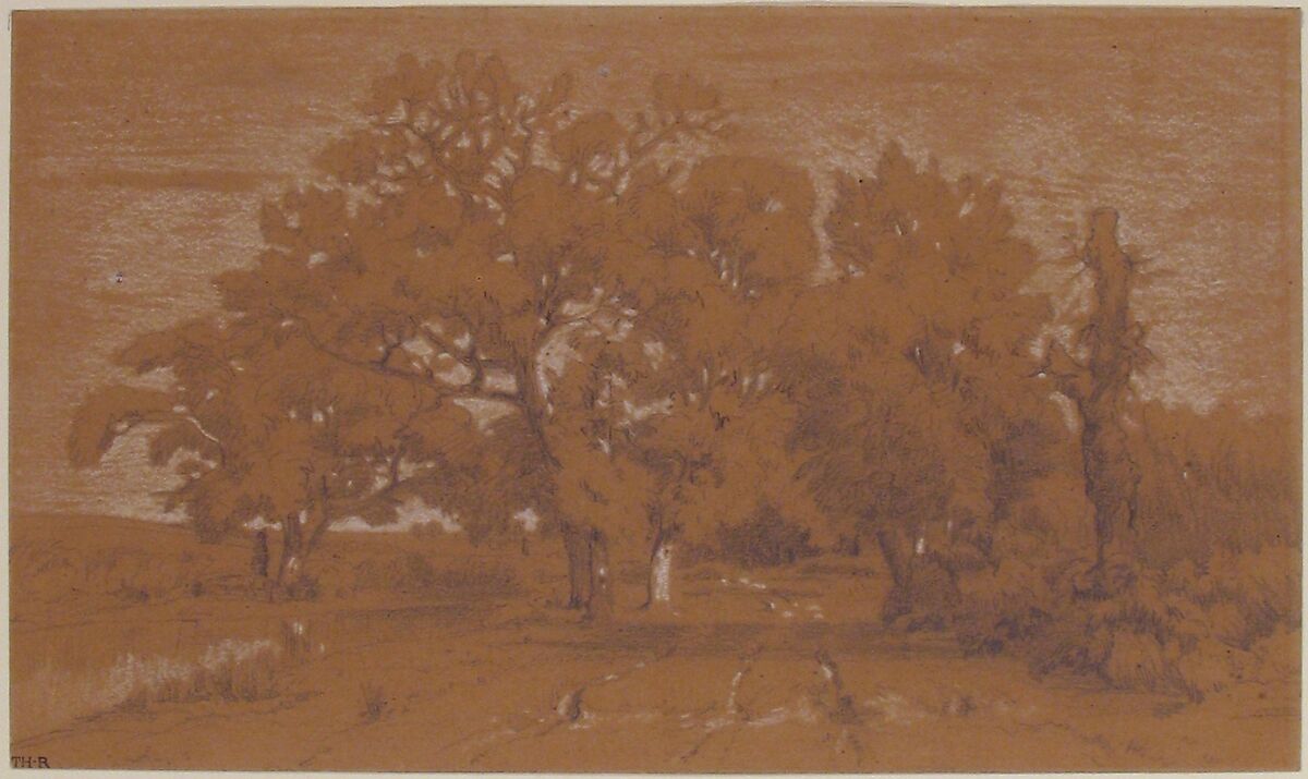 Landscape, Théodore Rousseau (French, Paris 1812–1867 Barbizon), Graphite, heightened with white chalk, on brown paper