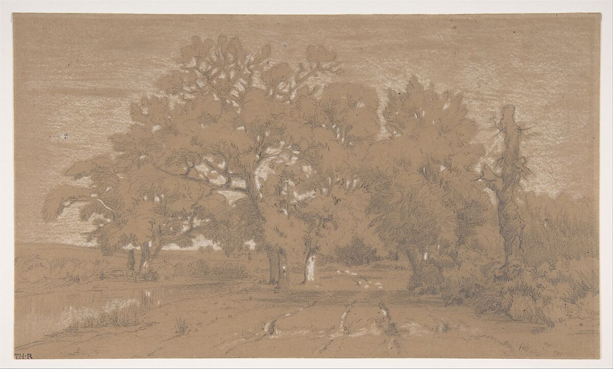 Landscape, Théodore Rousseau (French, Paris 1812–1867 Barbizon), Graphite, heightened with white chalk, on brown paper 