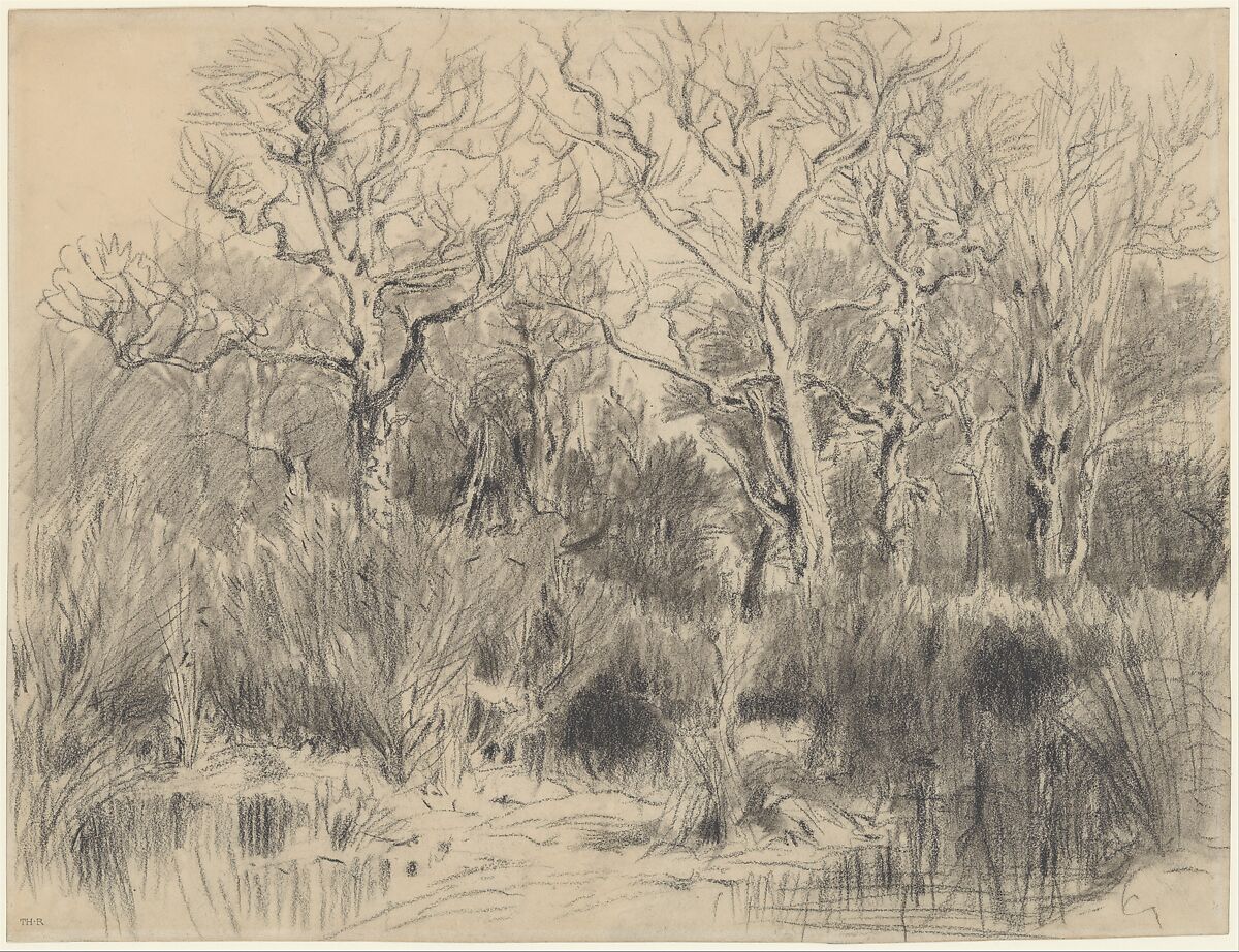 Trees in a Thicket, Théodore Rousseau (French, Paris 1812–1867 Barbizon), Conté crayon 