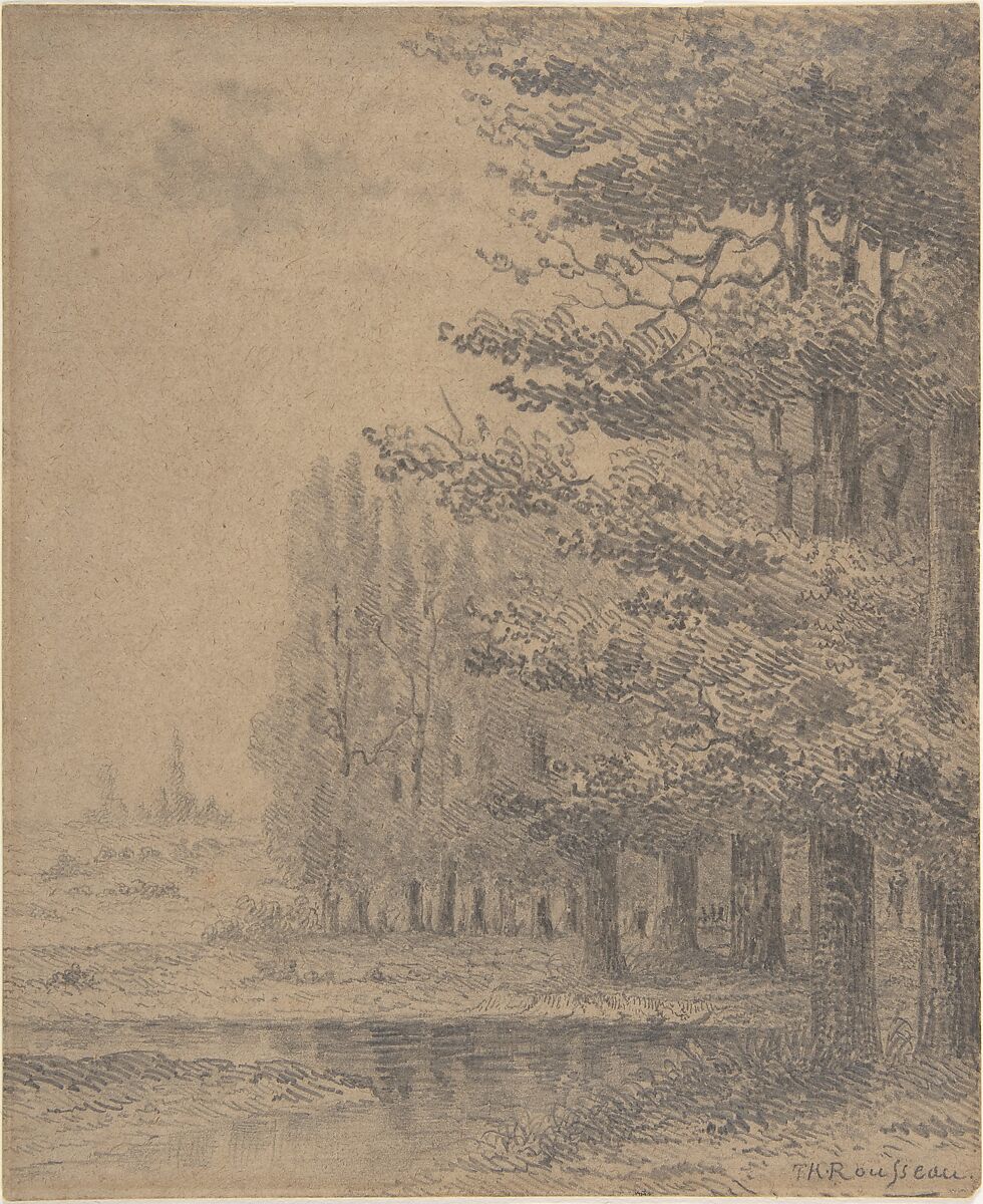 Landscape (A Grove of Trees Standing Near a River), Attributed to Théodore Rousseau (French, Paris 1812–1867 Barbizon), Graphite on beige wove paper 