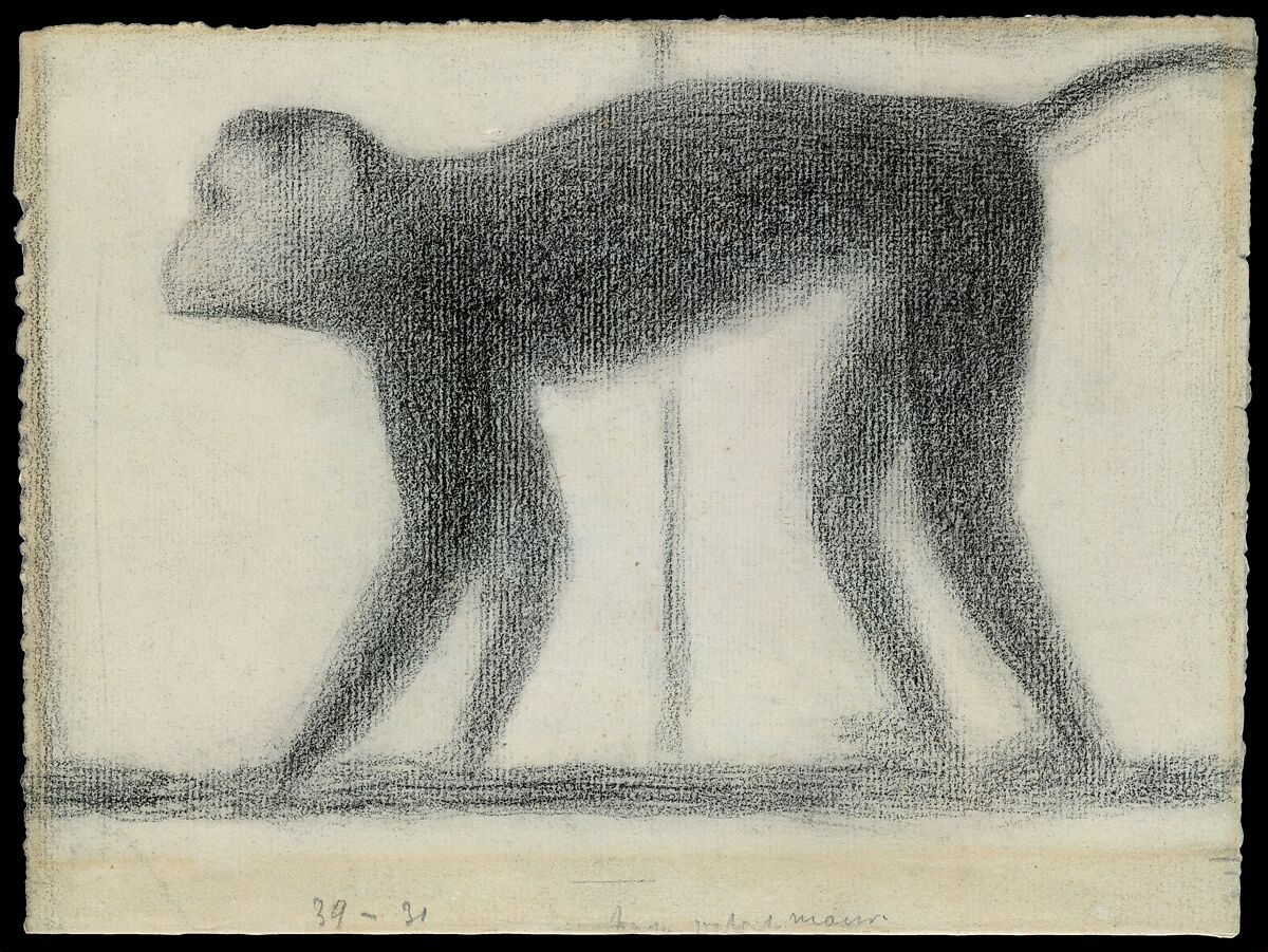 Monkey, Georges Seurat (French, Paris 1859–1891 Paris), Conté crayon