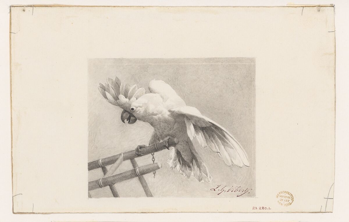 The Angry Parrot, Jean-Georges Vibert (French, Paris 1840–1902 Paris), Wash and Chinese white