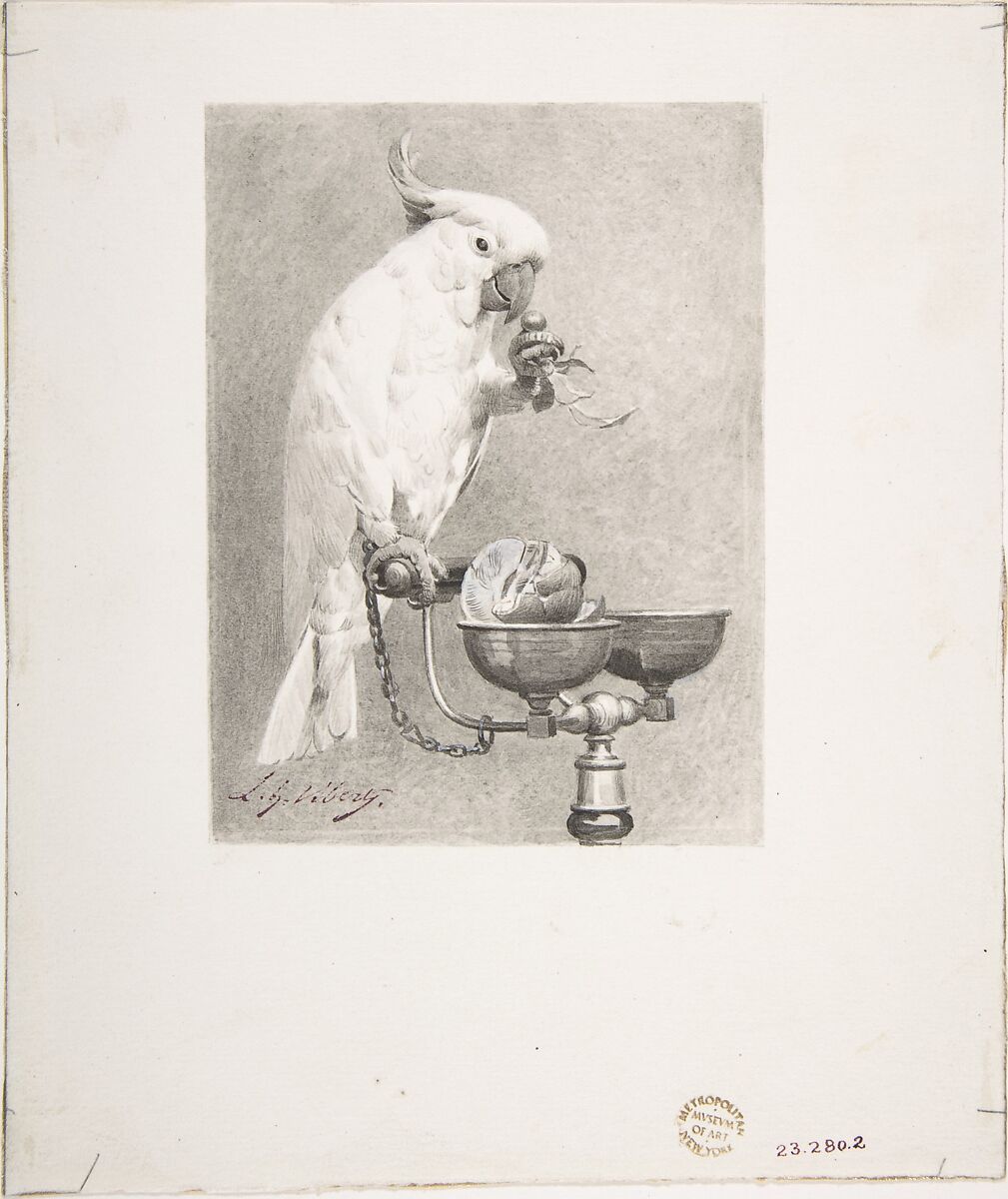 The Sedate Parrot, Jean-Georges Vibert (French, Paris 1840–1902 Paris), Wash and Chinese white 
