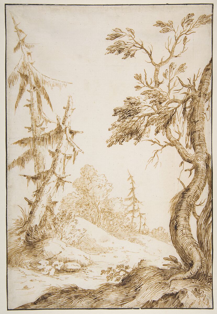 Clearing in a Wooded Landscape, Marco Ricci (Italian, Belluno 1676–1730 Venice (?)), Pen and brown ink, over traces of graphite or lead; framing lines in pen and dark brown ink 