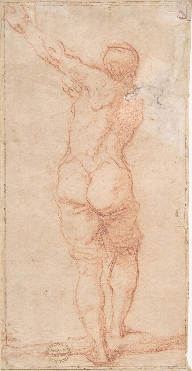 Male Figure with Arms Raised to the Left Seen From the Rear (recto); Male Figures with Arms Raised to the Left (front view of figure on recto) (verso), Anonymous, Italian, Bolognese, 17th century, Red chalk on light brown paper. Framing outline in pen and brown ink 