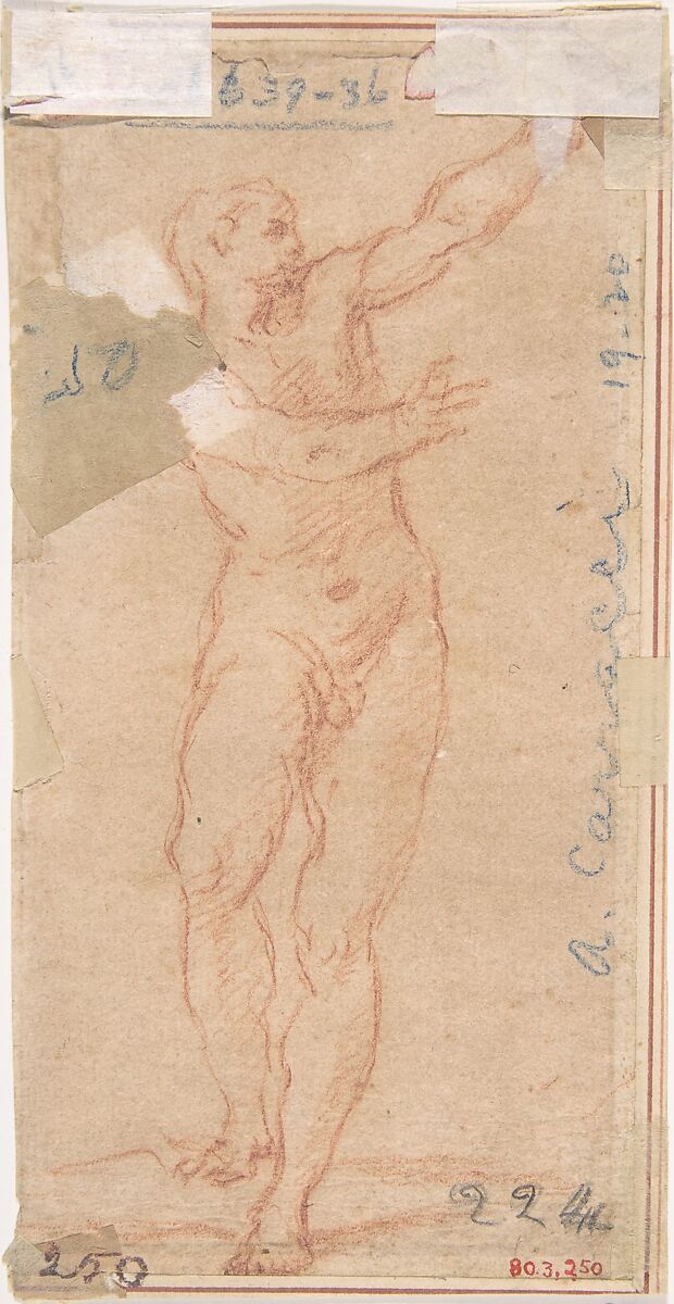 Male Figure with Arms Raised to the Left Seen From the Rear (recto); Male Figures with Arms Raised to the Left (front view of figure on recto) (verso), Anonymous, Italian, Bolognese, 17th century, Red chalk on light brown paper; framing lines in pen and brown ink