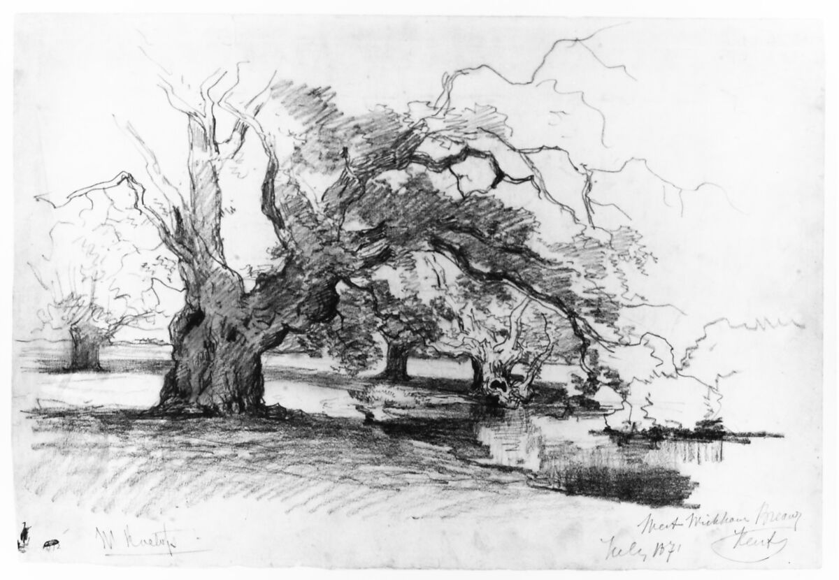 Landscape with Trees near a Pond, Willem Roelofs (Dutch, Amsterdam 1822–1897 Berchem), Pencil and black chalk