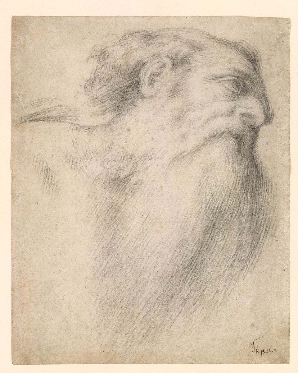 Head of a Bearded Man, Lorenzo Lotto (Italian, Venice ca. 1480–1556 Loreto), Black chalk