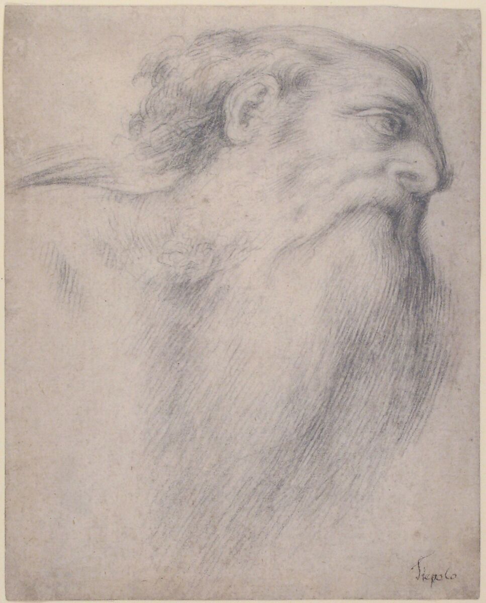 Head of a Bearded Man, Lorenzo Lotto (Italian, Venice ca. 1480–1556 Loreto), Black chalk