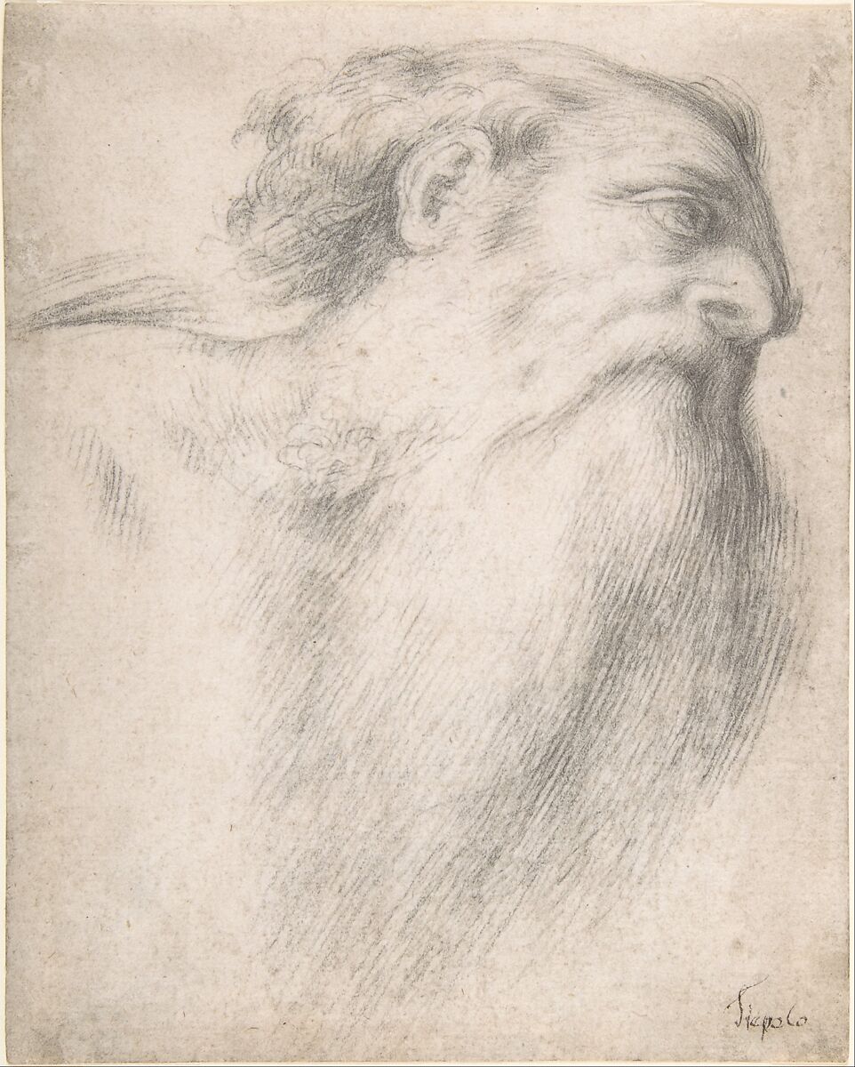 Head of a Bearded Man, Lorenzo Lotto (Italian, Venice ca. 1480–1556 Loreto), Black chalk 