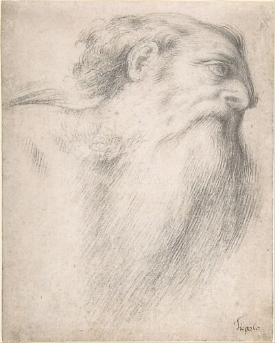 Head of a Bearded Man