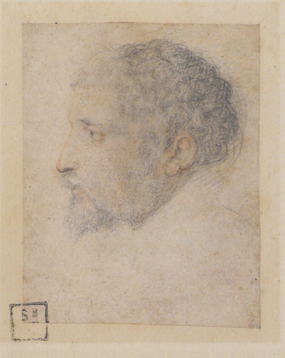 Head of man in Profile to Left, Attributed to Parmigianino (Girolamo Francesco Maria Mazzola) (Italian, Parma 1503–1540 Casalmaggiore), Red chalk (face) and black chalk (hair, beard, and eyes)