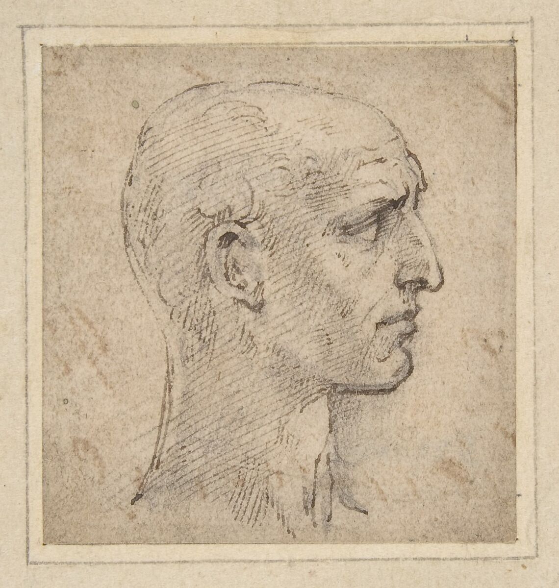 Head of a Man in Profile to Right, Parmigianino (Girolamo Francesco Maria Mazzola) (Italian, Parma 1503–1540 Casalmaggiore), Pen and brown ink, over black chalk 