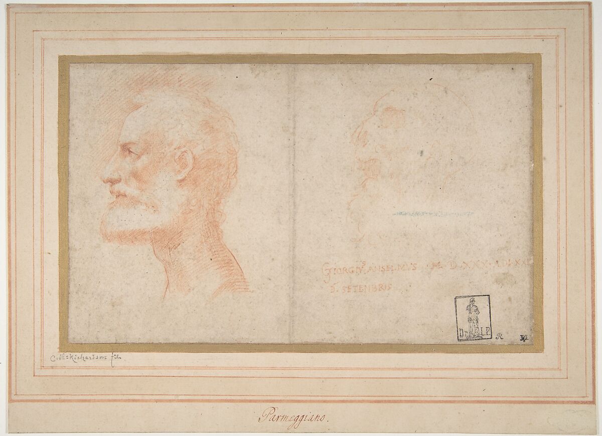 Head of a Bearded Man in Profile to Left, possibly the Portrait of the Poet Giorgio Anselmi (ca. 1459-1528), with Faint Sketch of a Skull-like Head, Parmigianino (Girolamo Francesco Maria Mazzola) (Italian, Parma 1503–1540 Casalmaggiore), Red chalk, the head at the left over a stylus sketch 