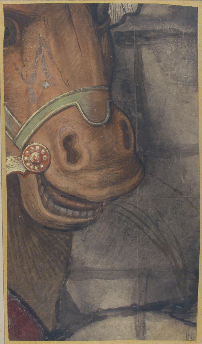 Horse's head, School of Raphael (Raffaello Sanzio or Santi) (Italian, Urbino 1483–1520 Rome), Brush and brown, red, green, yellow wash and white gouache over black chalk