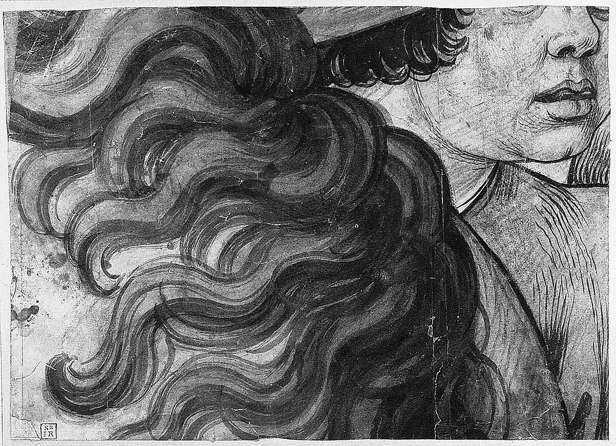 Head of a boy and section of a horse's mane, School of Raphael (Raffaello Sanzio or Santi) (Italian, Urbino 1483–1520 Rome), Brush, brown and red gouache, over a little black chalk