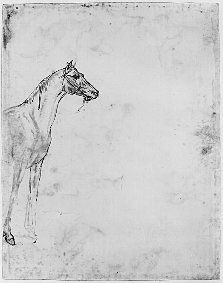 The Rescue of a Drowned Man (recto); Study of a Horse (verso), Théodore Géricault (French, Rouen 1791–1824 Paris), Pen and brown ink