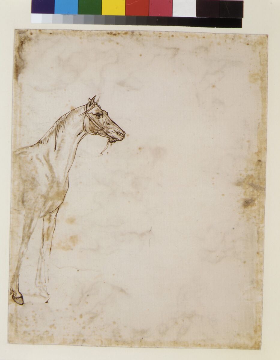 The Rescue of a Drowned Man (recto); Study of a Horse (verso), Théodore Géricault (French, Rouen 1791–1824 Paris), Pen and brown ink