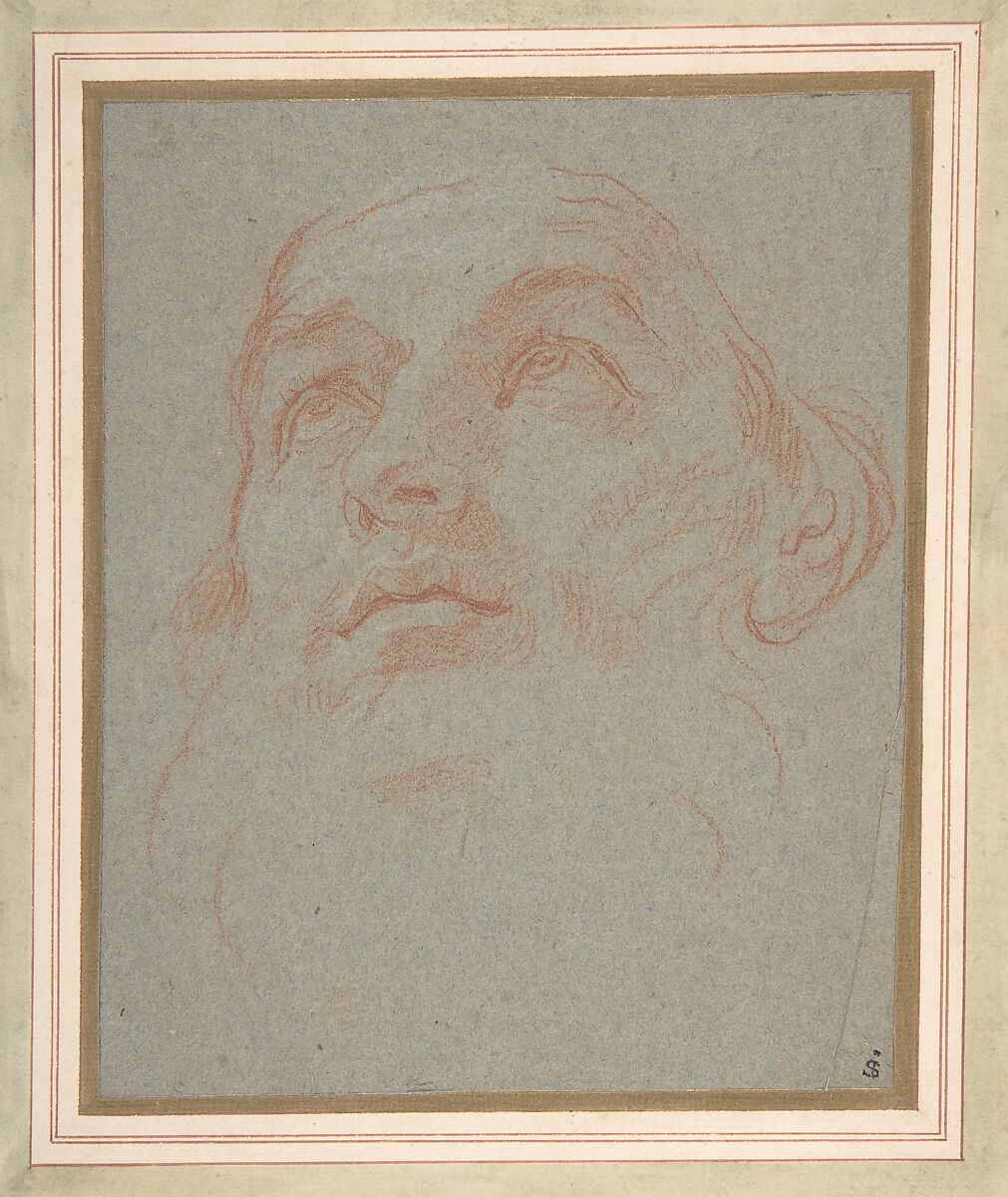 Head of a Bearded Man Looking to Upper Left (Saint Ambrose), Carlo Maratti (Italian, Camerano 1625–1713 Rome), Red chalk on blue paper 