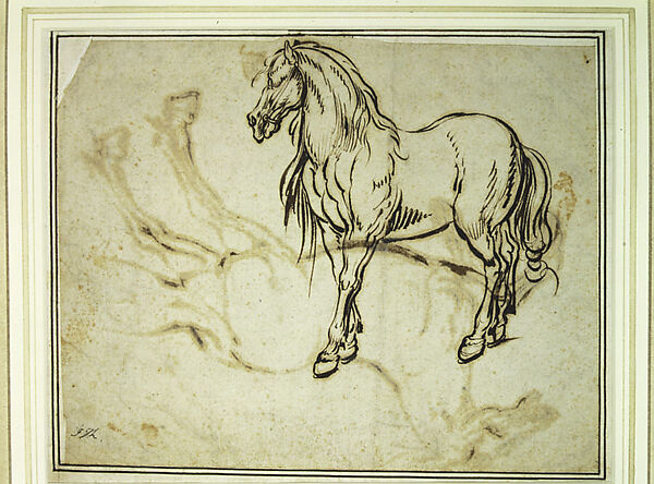 Study of a Horse (recto); Study of a Standing Horse (verso), Jacques Callot (French, Nancy 1592–1635 Nancy), Quill and reed pen and iron gall ink; minor evidence of leadpoint or graphite tracing of the standing horse visible on the recto