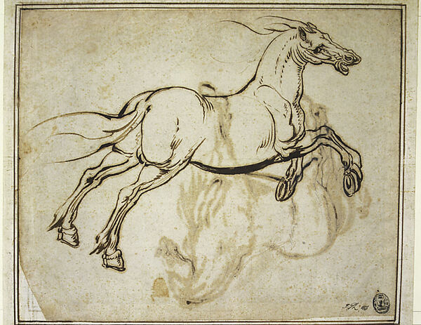 Study of a Horse (recto); Study of a Standing Horse (verso), Jacques Callot (French, Nancy 1592–1635 Nancy), Quill and reed pen and iron gall ink; minor evidence of leadpoint or graphite tracing of the standing horse visible on the recto