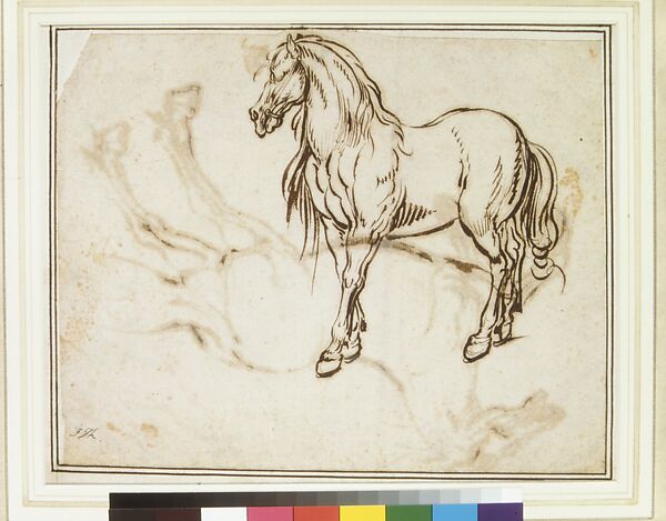 Study of a Horse (recto); Study of a Standing Horse (verso), Jacques Callot (French, Nancy 1592–1635 Nancy), Quill and reed pen and iron gall ink; minor evidence of leadpoint or graphite tracing of the standing horse visible on the recto
