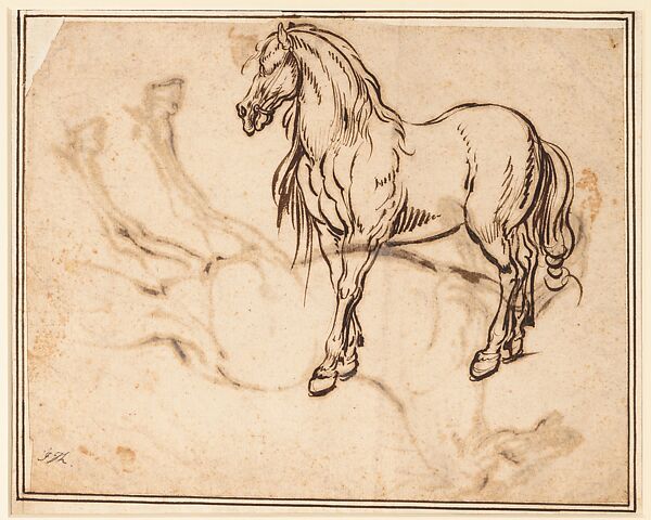 Study of a Horse (recto); Study of a Standing Horse (verso), Jacques Callot (French, Nancy 1592–1635 Nancy), Quill and reed pen and iron gall ink; minor evidence of leadpoint or graphite tracing of the standing horse visible on the recto