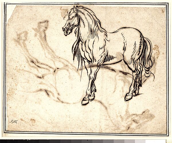 Study of a Horse (recto); Study of a Standing Horse (verso), Jacques Callot (French, Nancy 1592–1635 Nancy), Quill and reed pen and iron gall ink; minor evidence of leadpoint or graphite tracing of the standing horse visible on the recto