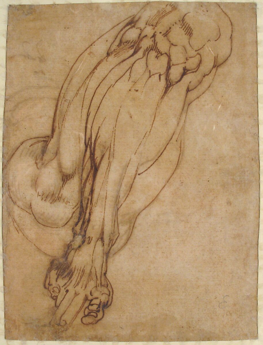 Anatomical Studies of a Leg (recto); Study of a Leg (verso), School of Michelangelo Buonarroti (Italian, Caprese 1475–1564 Rome), Pen and brown ink, and red chalk (recto); pen and brown ink (verso)