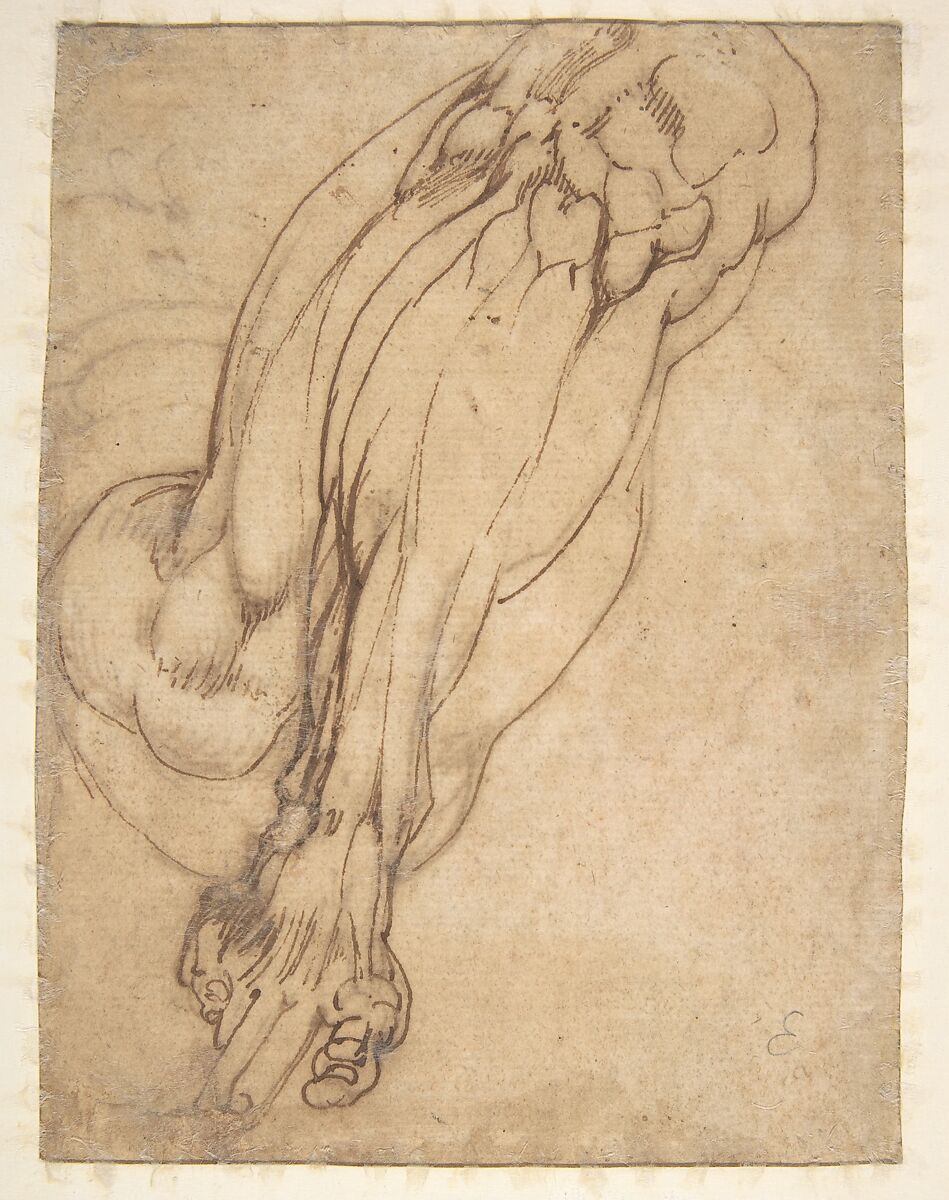 Anatomical Studies of a Leg (recto); Study of a Leg (verso), School of Michelangelo Buonarroti (Italian, Caprese 1475–1564 Rome), Pen and brown ink, and red chalk (recto); pen and brown ink (verso)