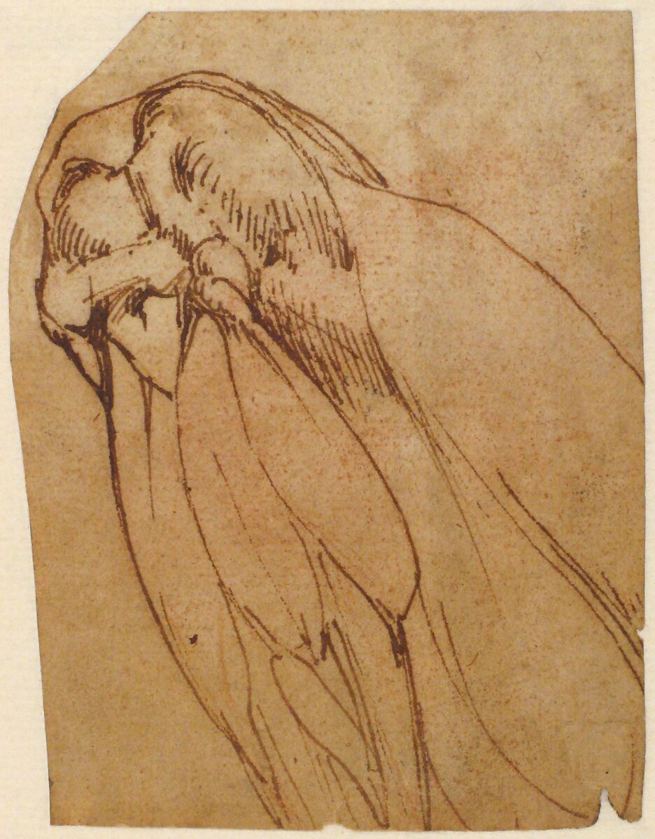 Anatomical Study of a Knee, School of Michelangelo Buonarroti (Italian, Caprese 1475–1564 Rome), Pen and brown ink